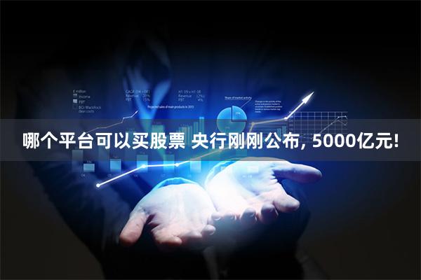 哪个平台可以买股票 央行刚刚公布, 5000亿元!