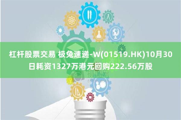 杠杆股票交易 极兔速递-W(01519.HK)10月30日耗资1327万港元回购222.56万股