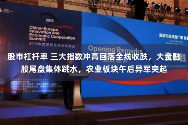 股市杠杆率 三大指数冲高回落全线收跌，大金融股尾盘集体跳水，农业板块午后异军突起