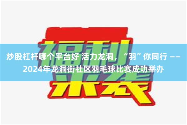 炒股杠杆哪个平台好 活力龙洞，“羽”你同行 ——2024年龙洞街社区羽毛球比赛成功举办